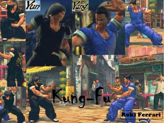 Kung Fu