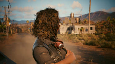 Short Curly Hair - FEM V