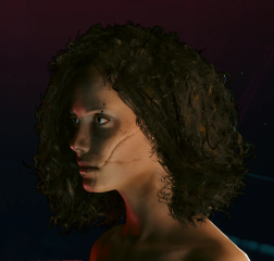 Short Curly Hair - FEM V