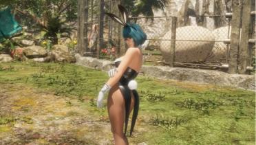 环的兔女郎MOD