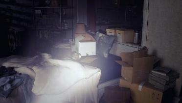 You're finally awake pillow