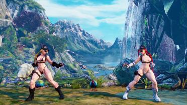 Cammy Sexy Police Bikini