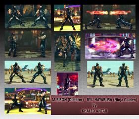 Ryu Hayabusa (Ninja Gaiden)