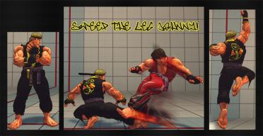 Cobra Kai (The Karate Kid)