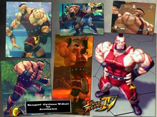 Cyclone Wrestling Suit