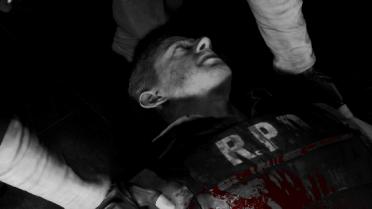 Sin City-Raccoon City