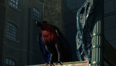 Graiff Griffon (Gryphon Parrot)