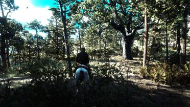 HDR's locked inventory and barrel shadows