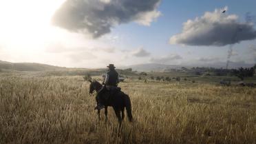 Absolute correction of RDR2