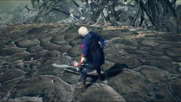 Nero DMC4 type Color
