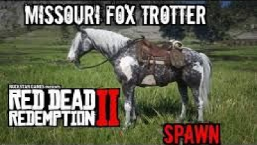 Chapter Two, Missouri Foxtrot Rescue