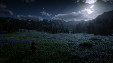 Red Dead seb version 2