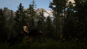 Red Dead seb version 2