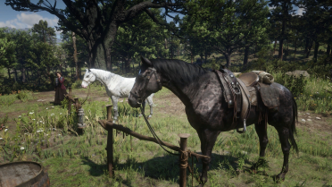 Chapter 2 Pre-order single horses and special edition horses to save files