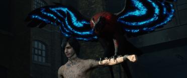 Graiff Griffon (Gryphon Parrot)