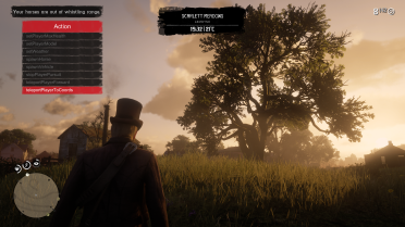 Customizable trainer