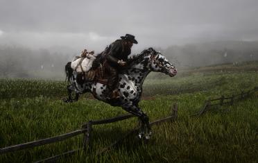 RDR2 Chapter 2 begins