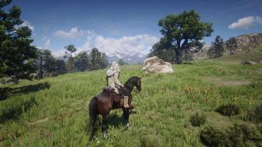 Absolute correction of RDR2