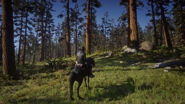 Absolute correction of RDR2