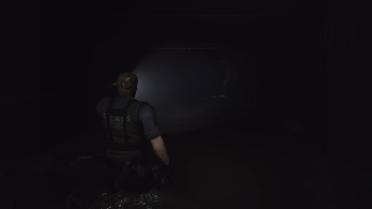 Resident Evil 5 Wesker STARS