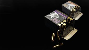 Magnum Heaven (magnum bullet)