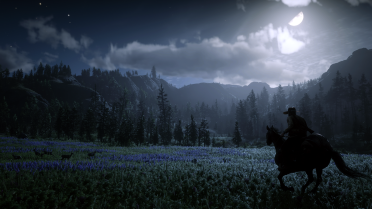 Red Dead seb version 2