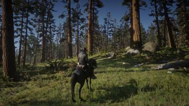 Absolute correction of RDR2