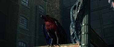 Graiff Griffon (Gryphon Parrot)