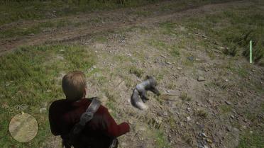 Stagnant-immobilize any animal human or vehicle