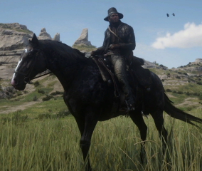 Chapter 2 Pre-order single horses and special edition horses to save files