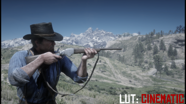Red Dead Redemption 2-Lut Color Grading-NVidia Ansel