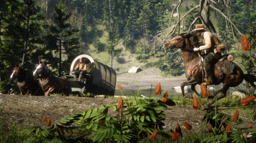 Red Dead seb version 2