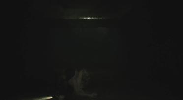 Anti-virus women get confused into the 4th survivor route