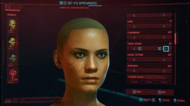 Cyberpunk Scar Collection