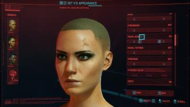 Cyberpunk Scar Collection