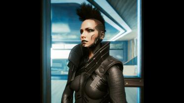 High neck waistcoat-custom variant