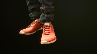 Shoes on the feet 1.0