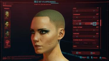 Cyberpunk Scar Collection