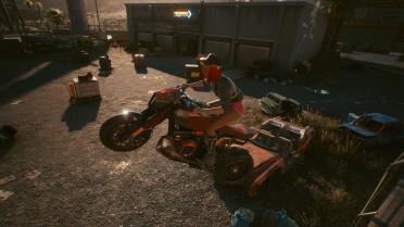 Delicate Gorilla arm