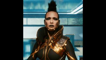 High neck waistcoat-custom variant