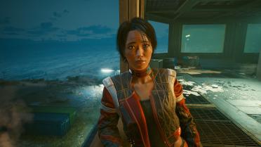 Panam-alternative face and hair