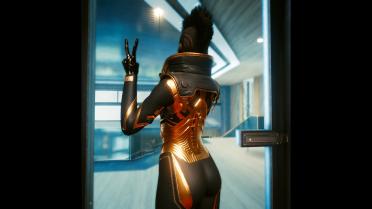 High neck waistcoat-custom variant