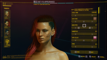 2077 Rogue Hairstyle