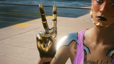 Alt Cyberarms variant library and its accessories