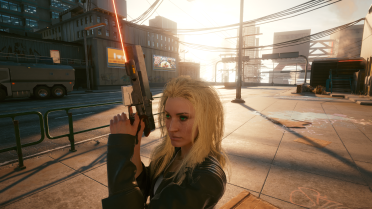 Malorian Arms 3516 customized version