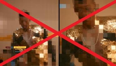 Disable zoom transition visual effects