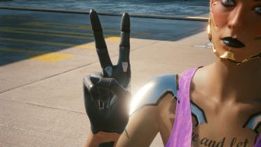 Alt Cyberarms variant library and its accessories