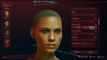 Cyberpunk Scar Collection