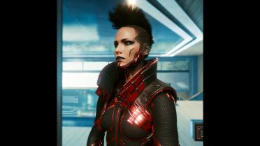 High neck waistcoat-custom variant