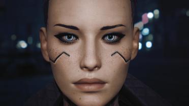 Takemura's web software-customized version